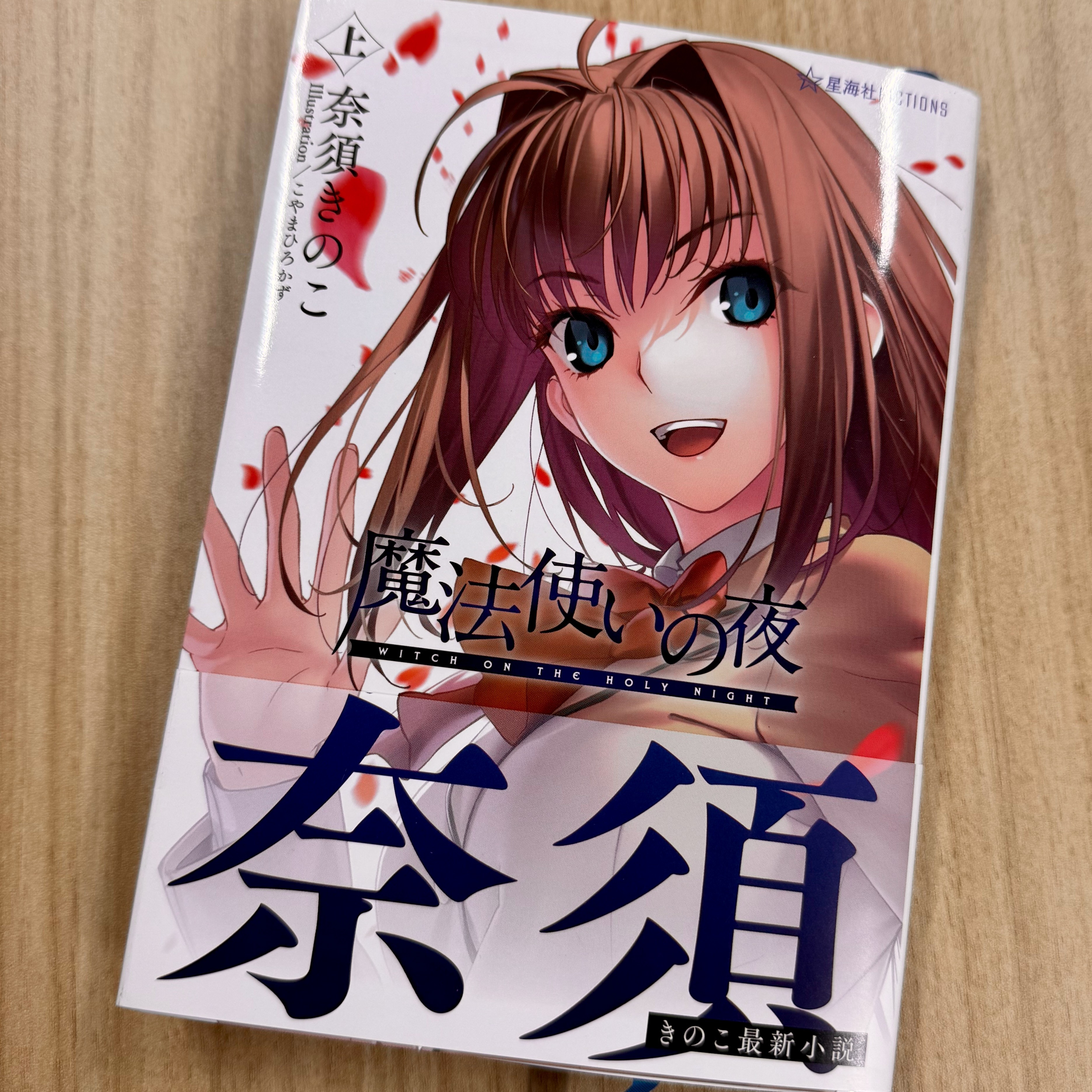 魔法使いの夜上巻
